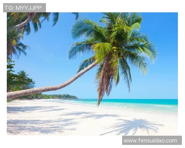 探索阿拉巴的历史文化与自然风光之美，感受独特的地域魅力与人文情怀